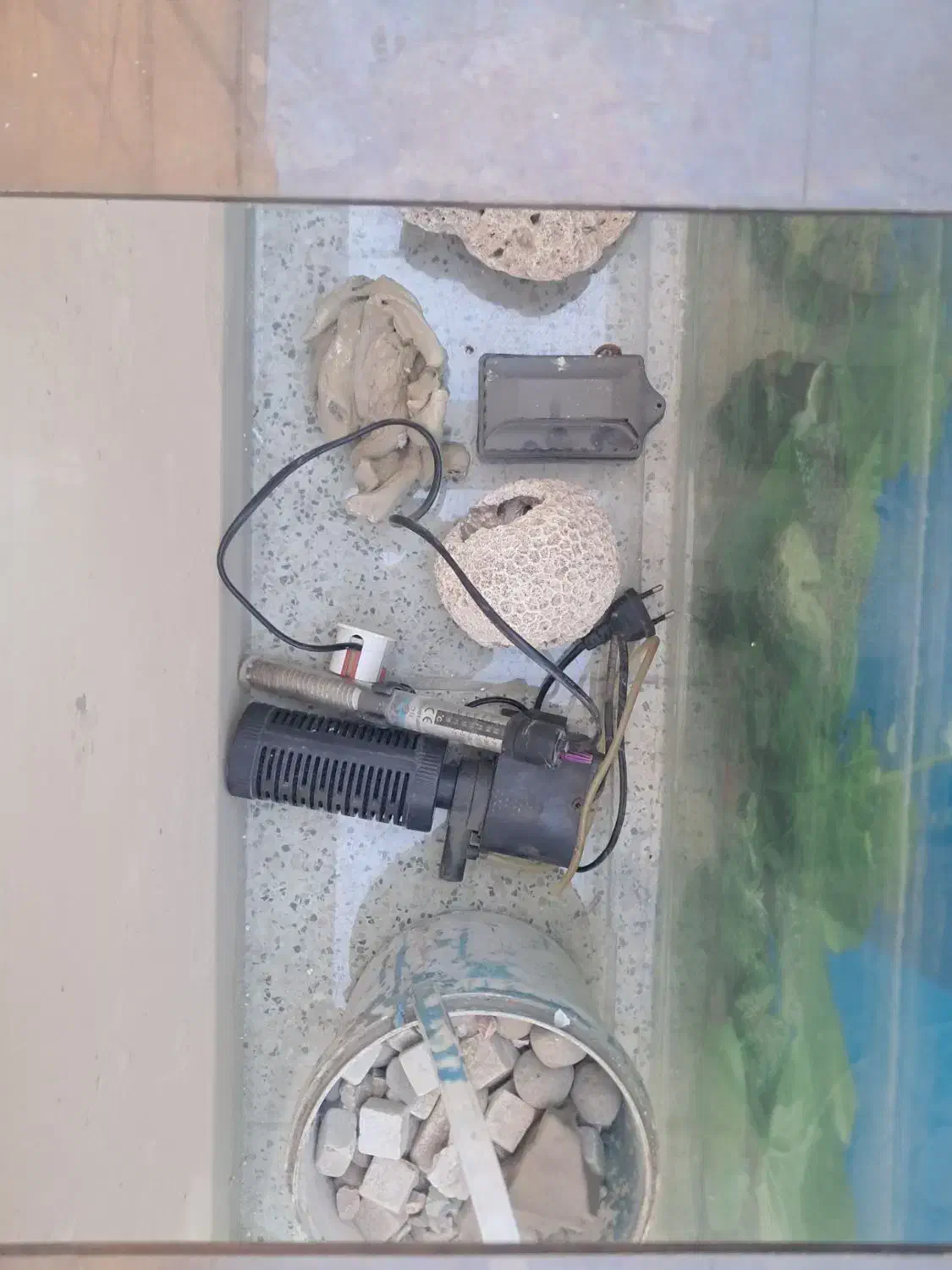 اکواریوم و سینما خانواده|ماهی|مشهد, شهرک بهارستان|دیوار