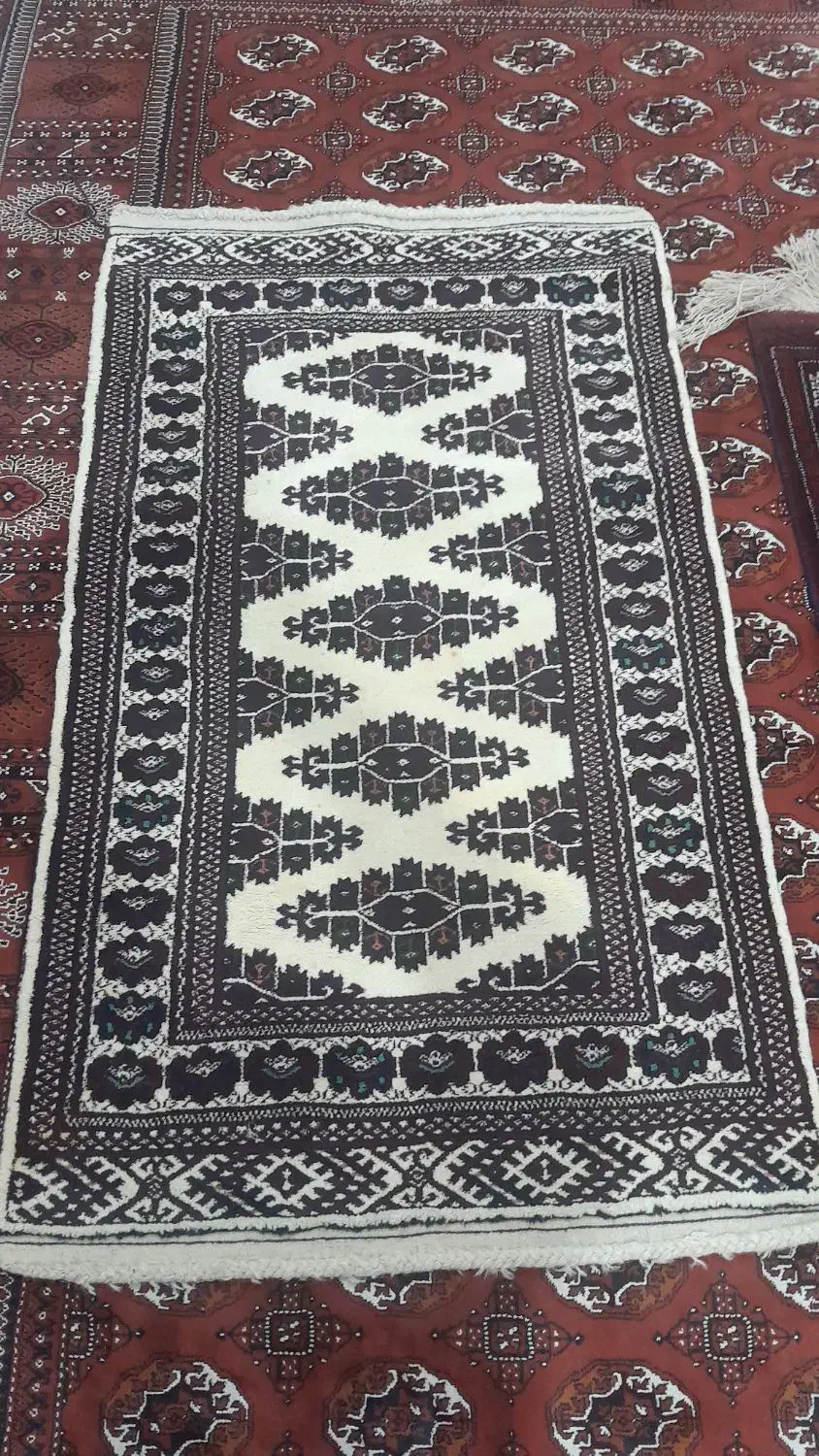 قالیچه|فرش|گنبد کاووس, |دیوار