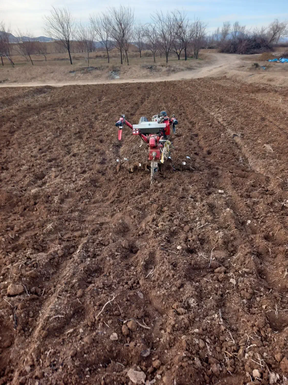 شخم زنی باغات و گل خانه ها|خدمات باغبانی و درختکاری|مرند, |دیوار