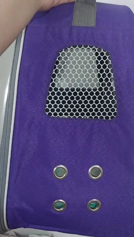 باکس حیوانات|لوازم جانبی حیوانات|رشت, هلال احمر|دیوار