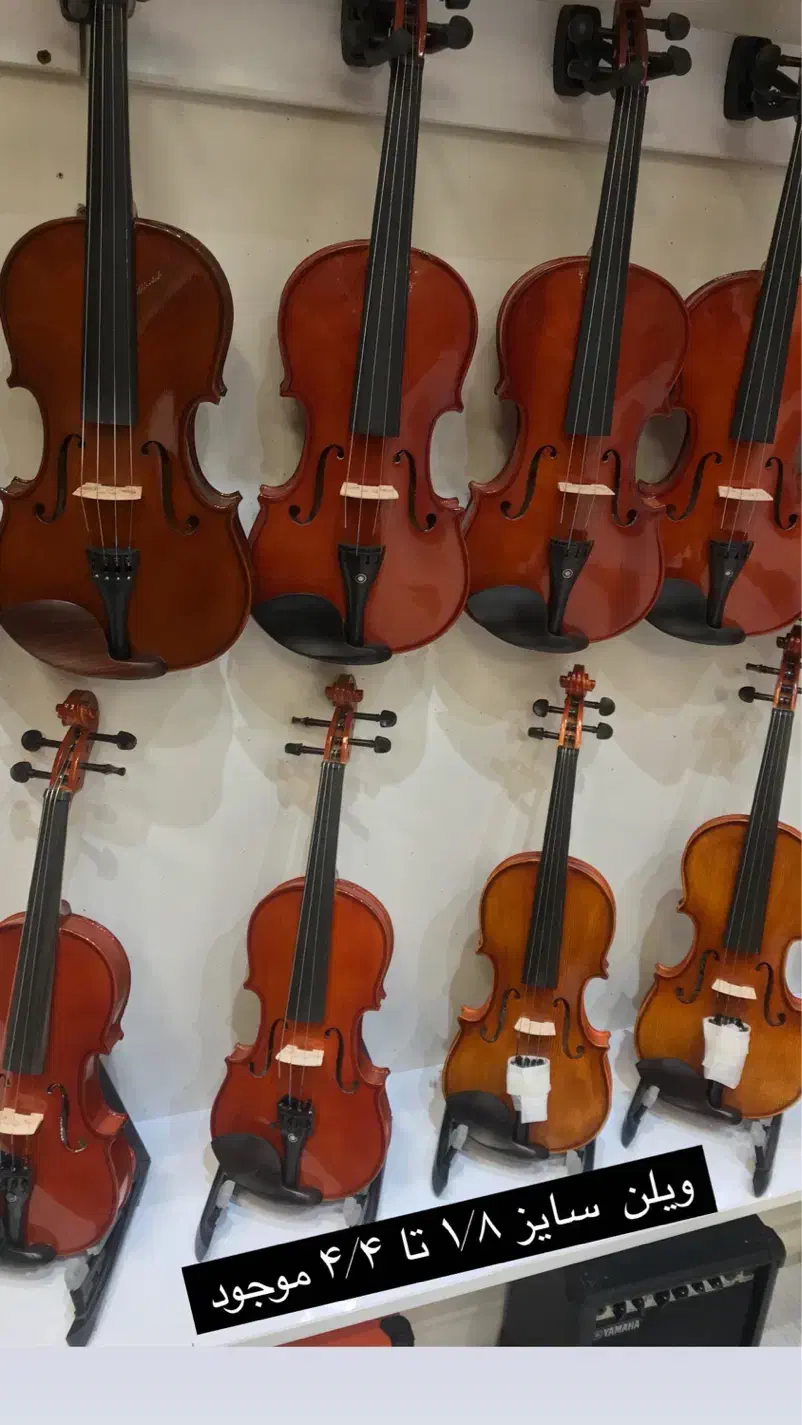 ویلن هافنر Hofner|ویولن|تهران, شهرک غرب|دیوار