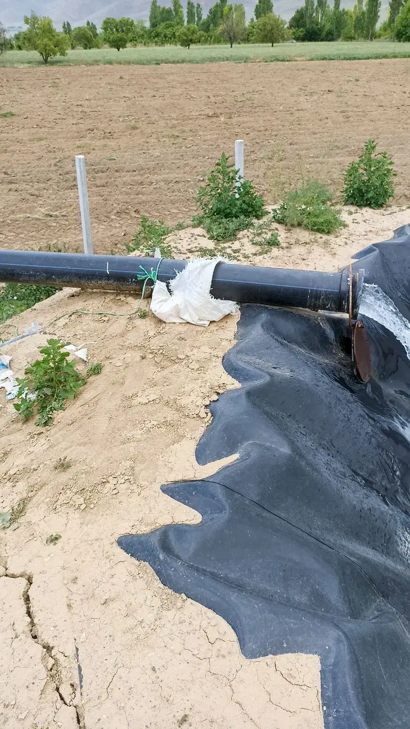 زمین زراعی|فروش دفتر صنعتی، کشاورزی، تجاری|انزل, |دیوار