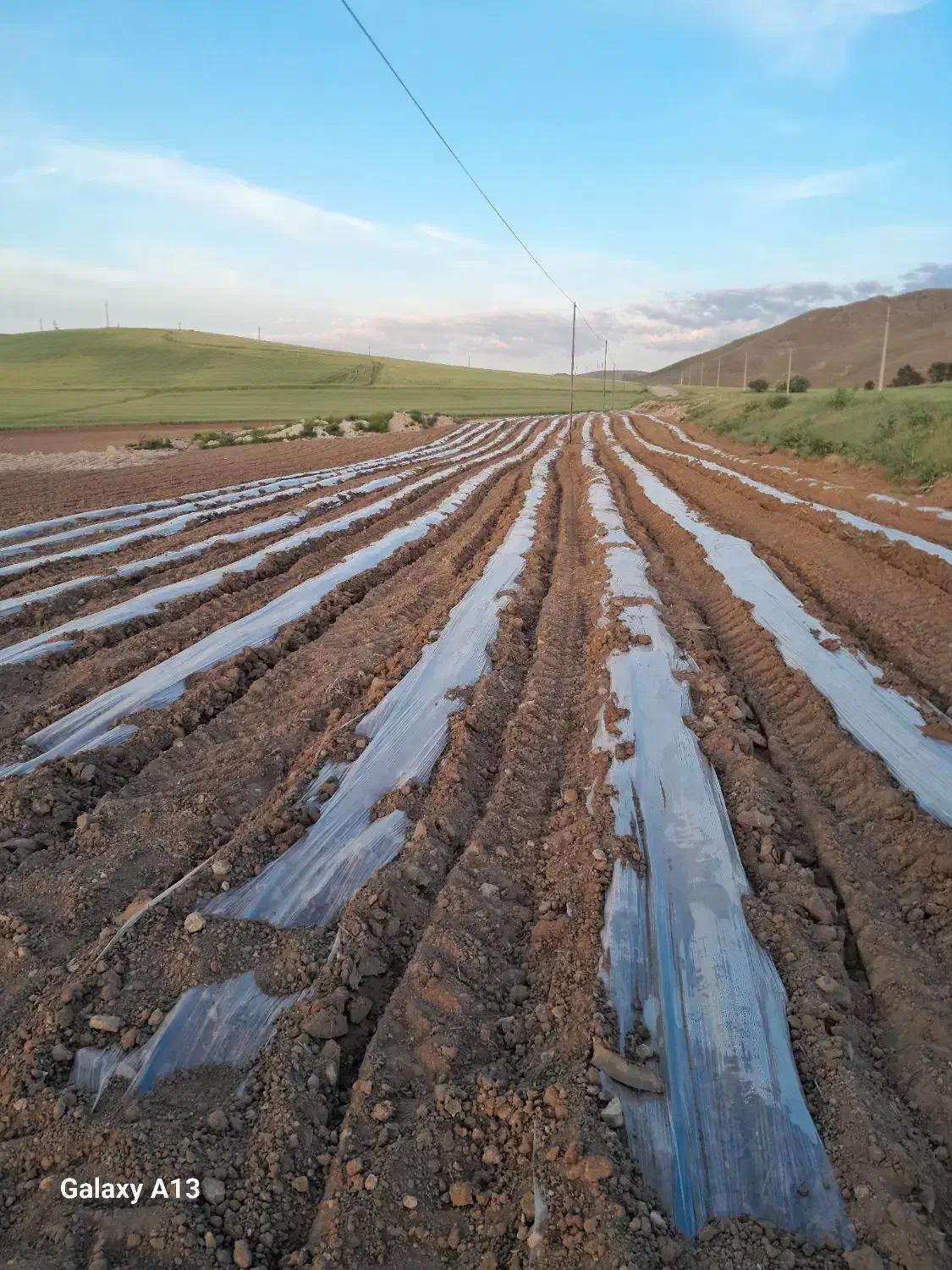 زمین کشاورزی|فروش زمین و ملک کلنگی|زیویه, |دیوار