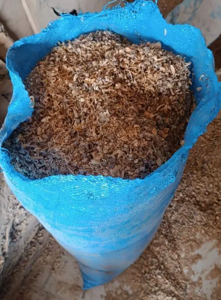 پوشال و خاک اره|لوازم جانبی حیوانات|رشت, معلولین|دیوار