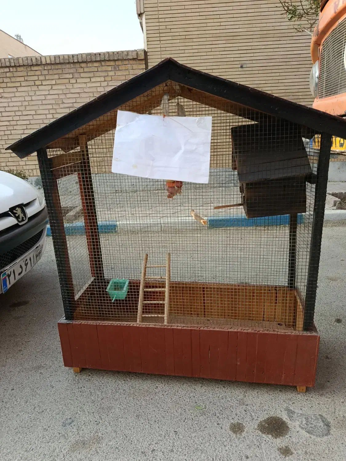 قفس چوبی عروس هلندی|لوازم جانبی حیوانات|رضویه, |دیوار