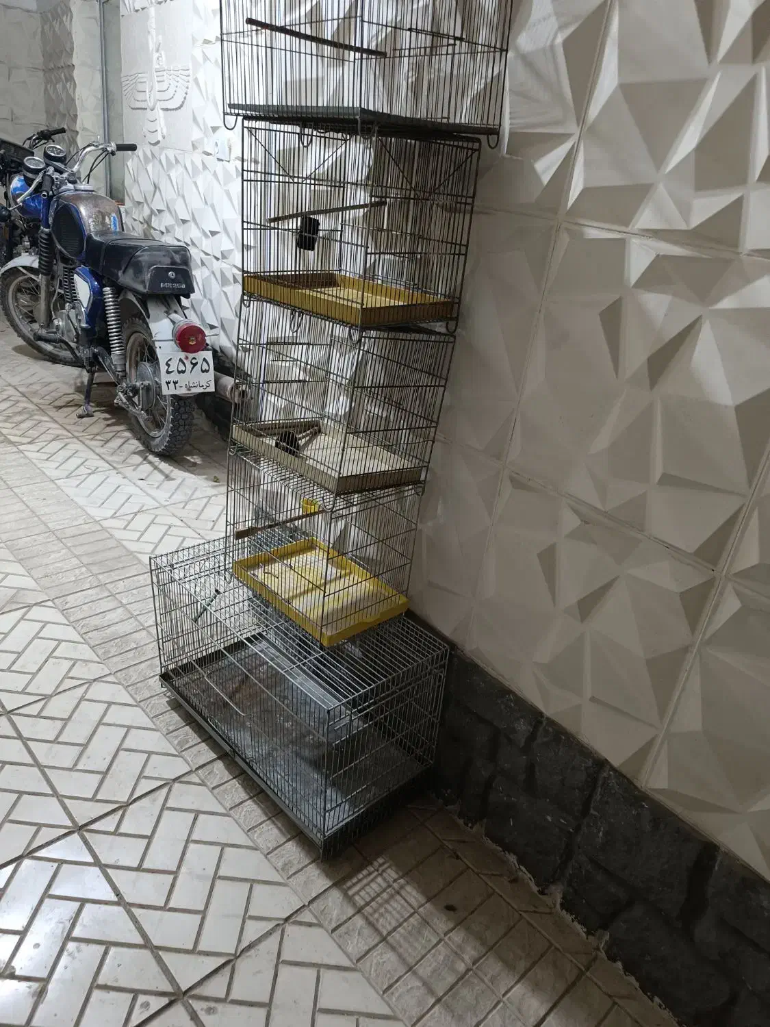 5تا قفس پرنده|لوازم جانبی حیوانات|جاجرود, |دیوار