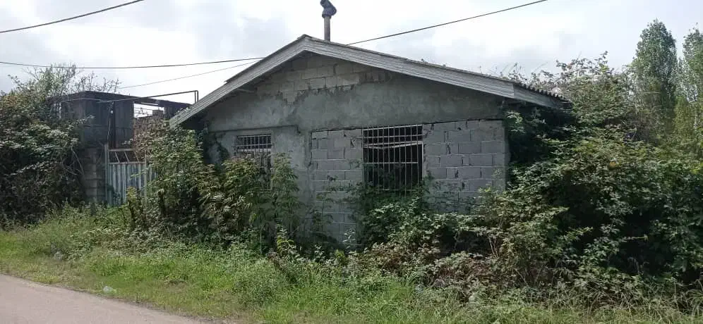 فروش زمین محصور شده|فروش زمین و ملک کلنگی|کلاچای, |دیوار