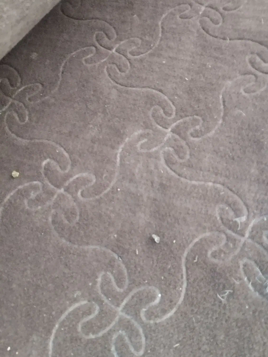 موکت در حد نو|موکت|اسلامآباد غرب, |دیوار