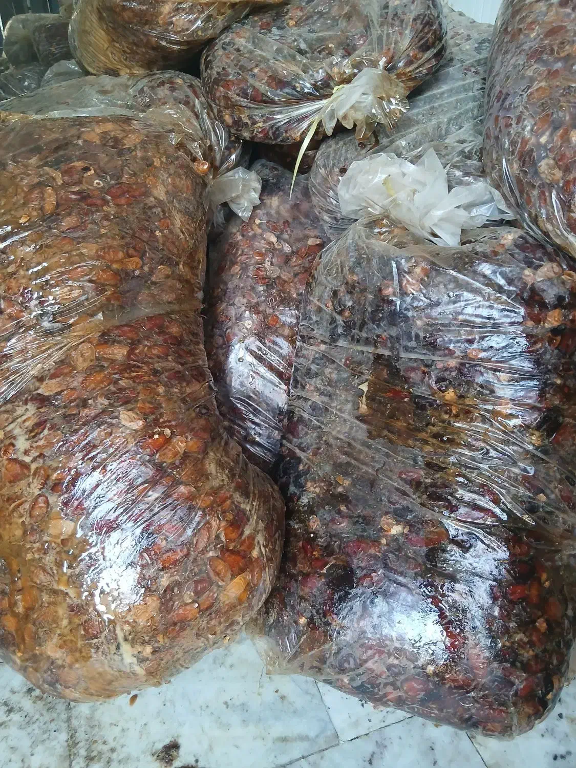 خرما|حراج|خمینی‌شهر, |دیوار