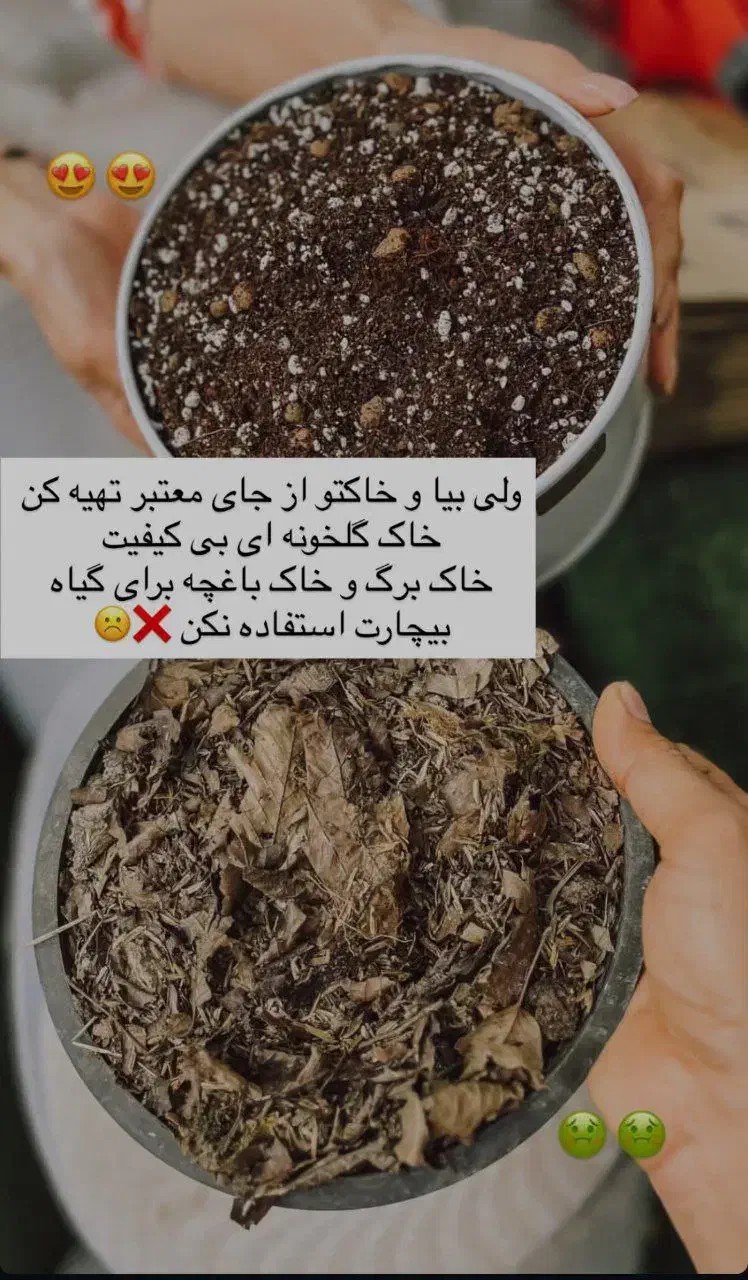 فروش خاک گل|گل و گیاه طبیعی|بوکان, |دیوار