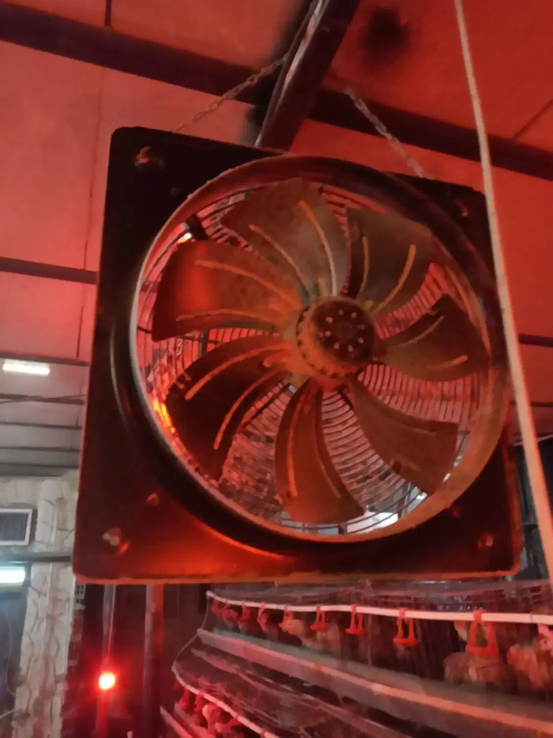 فن هواکش|پنکه و تصفیهکنندهٔ هوا|ارومیه, |دیوار