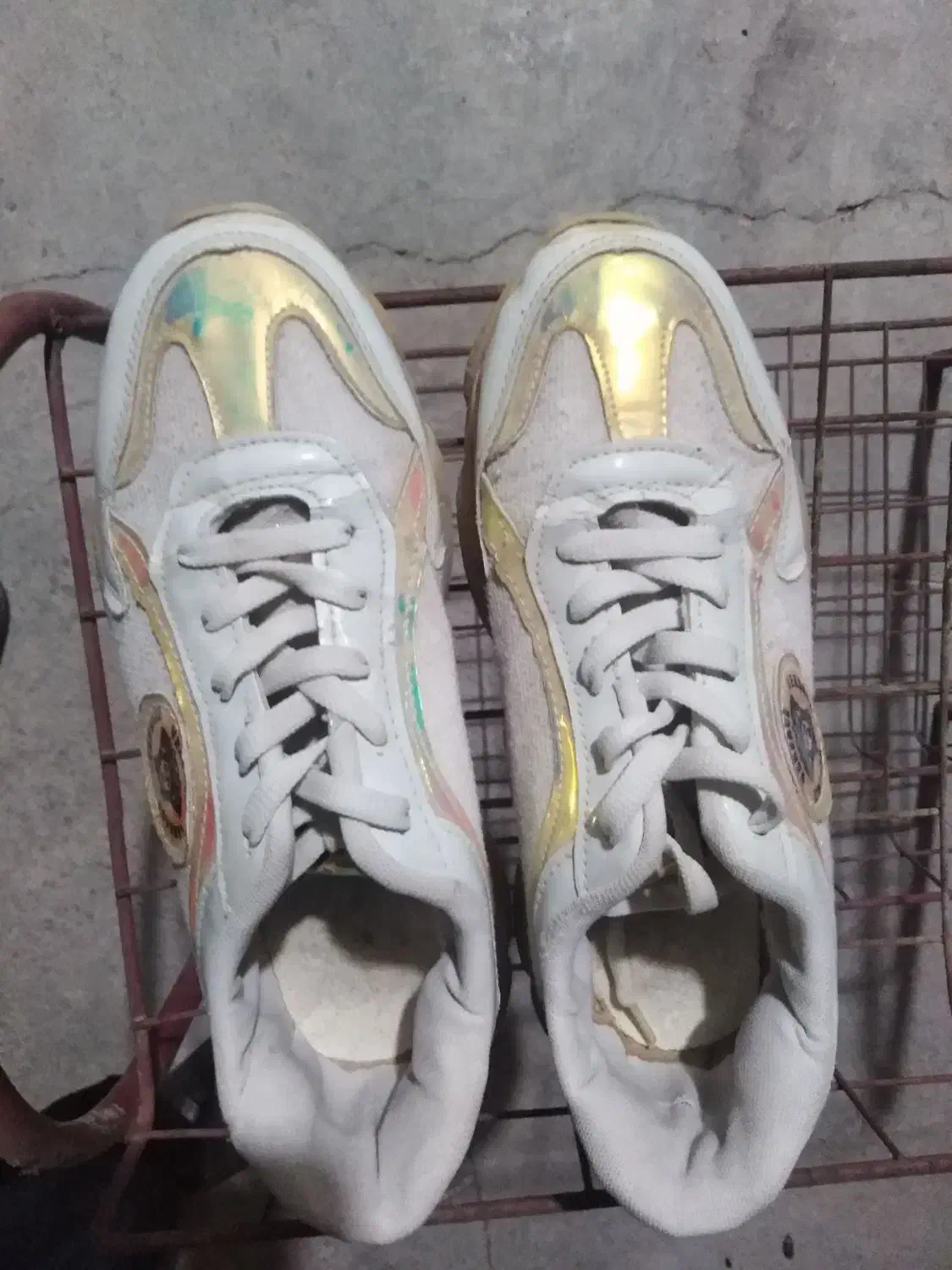 کفش|کیف، کفش، کمربند|برازجان, |دیوار