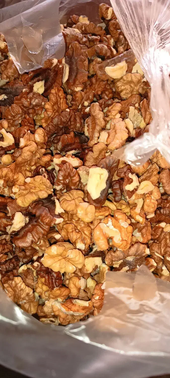 مغز گردو|عمدهفروشی|الشتر, |دیوار