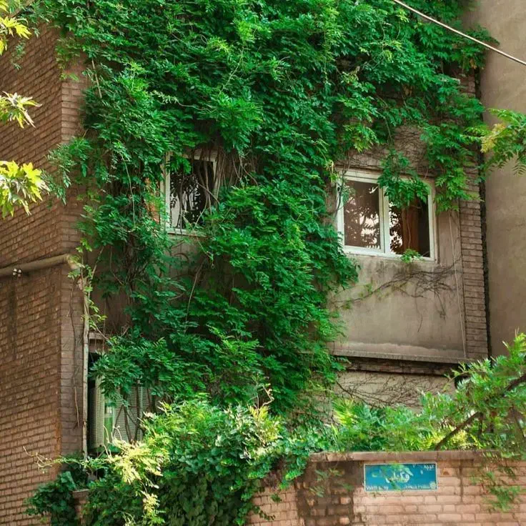 قصرالدشت/ کلنگی /۶۰۰متر/ لرد نشین|فروش زمین و ملک کلنگی|شیراز, میرزاکوچک خان|دیوار