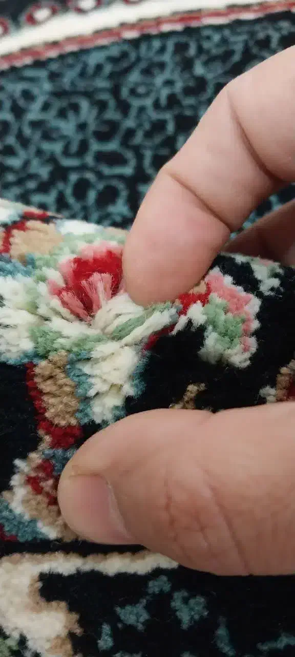 فرش 12متری|فرش|دزفول, |دیوار