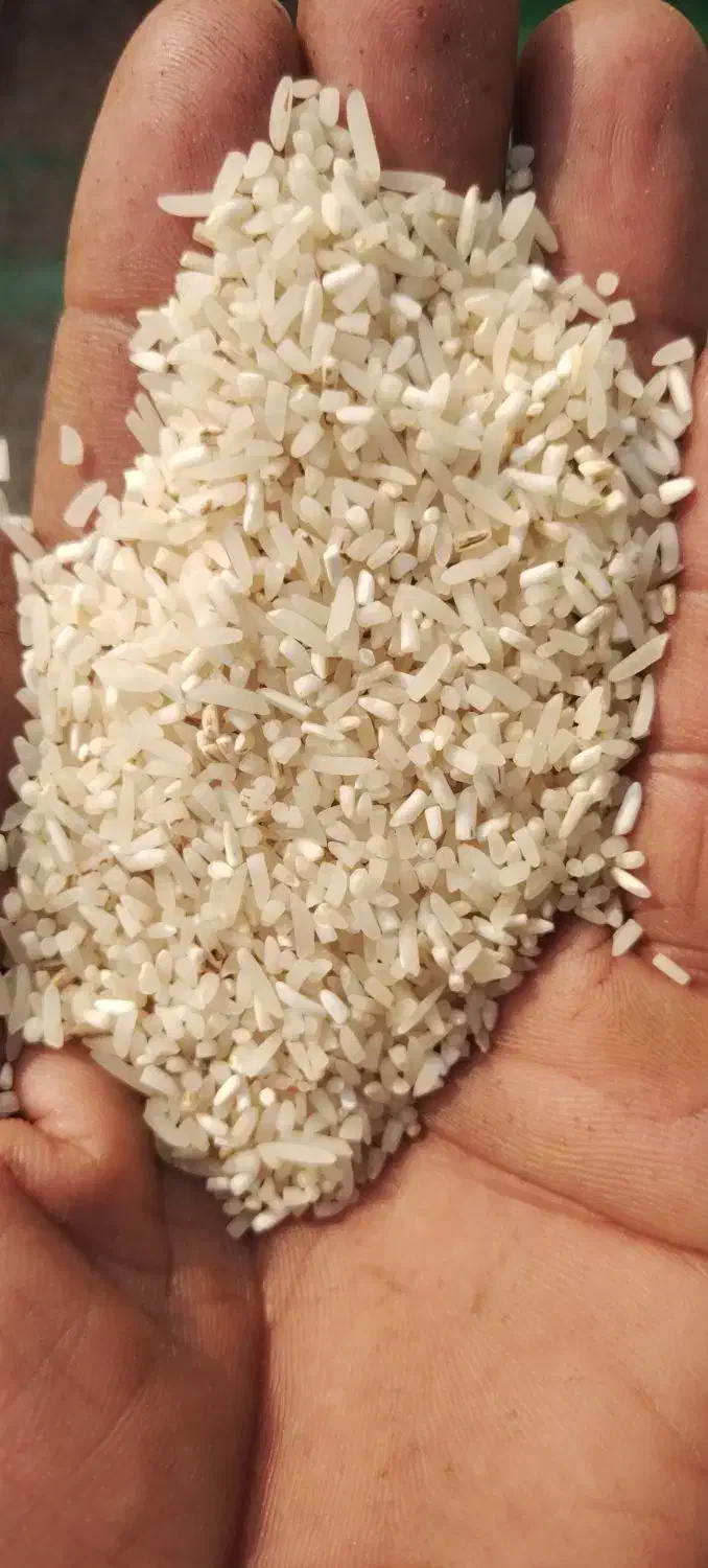 برنج فجر|عمدهفروشی|گرگان, |دیوار