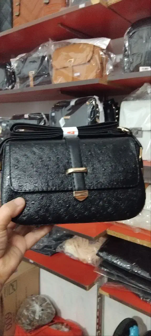 انواع کیف های شیک|کیف، کفش، کمربند|اسفراین, |دیوار