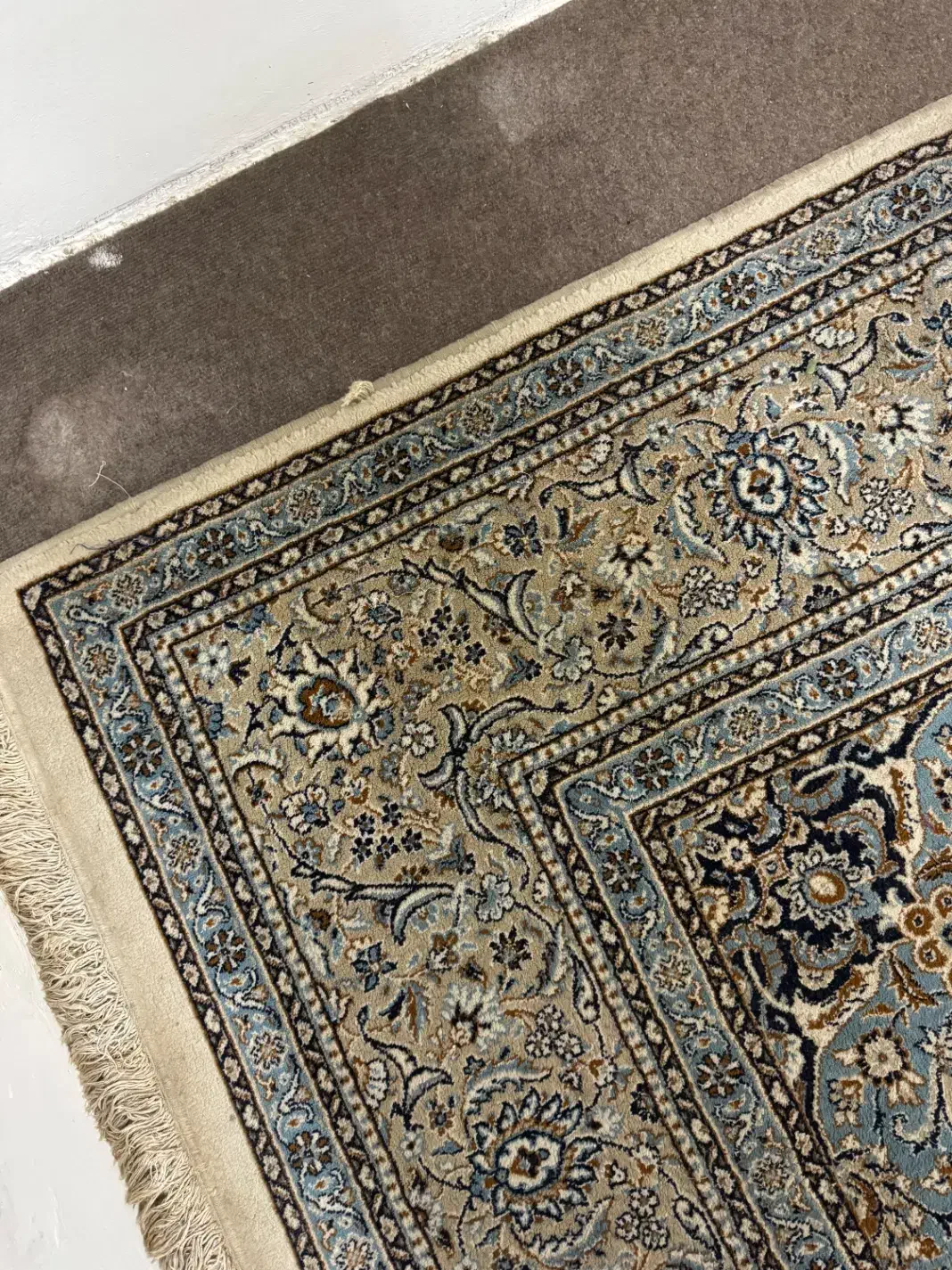 فرش کارکرد ۱۲متری|فرش|قائمشهر, |دیوار