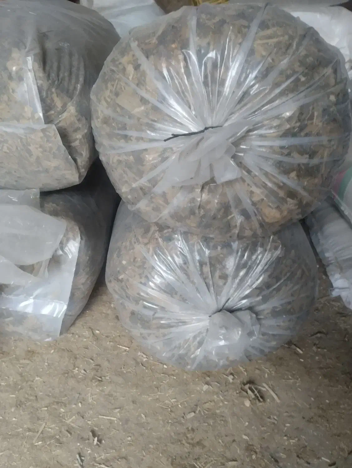 بلال علوفه ای|عمدهفروشی|قیدار, |دیوار