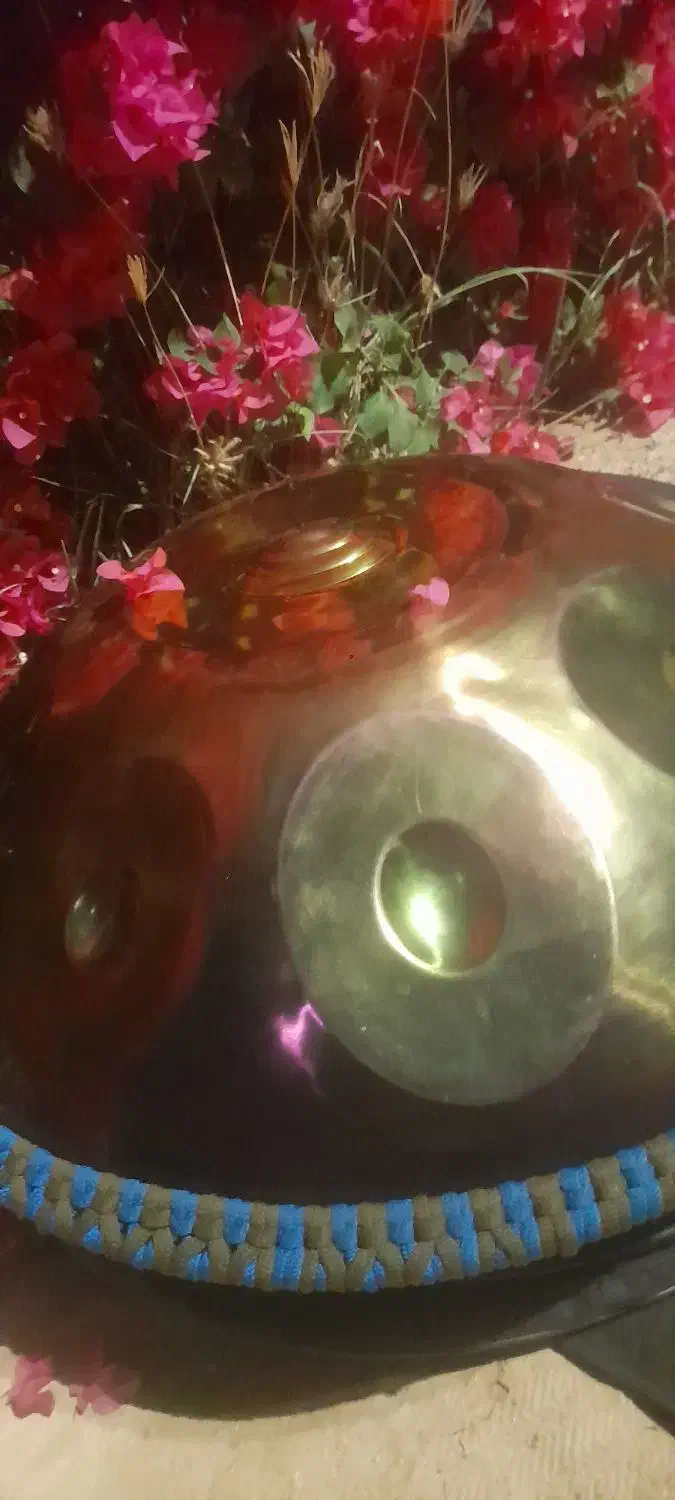 هنگدرام امریکایی|درام و پرکاشن|کیش, |دیوار