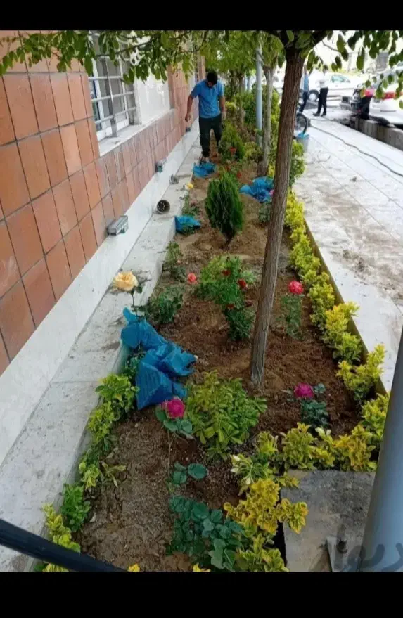 کلیه خدمات باغبانی در تهران و حومه|خدمات باغبانی و درختکاری|تهران, شهرک غرب|دیوار