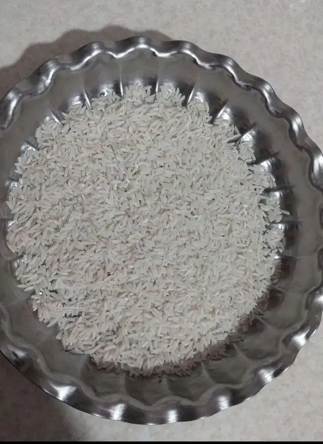 برنج طارم هاشمی|خوردنی و آشامیدنی|قائمشهر, |دیوار