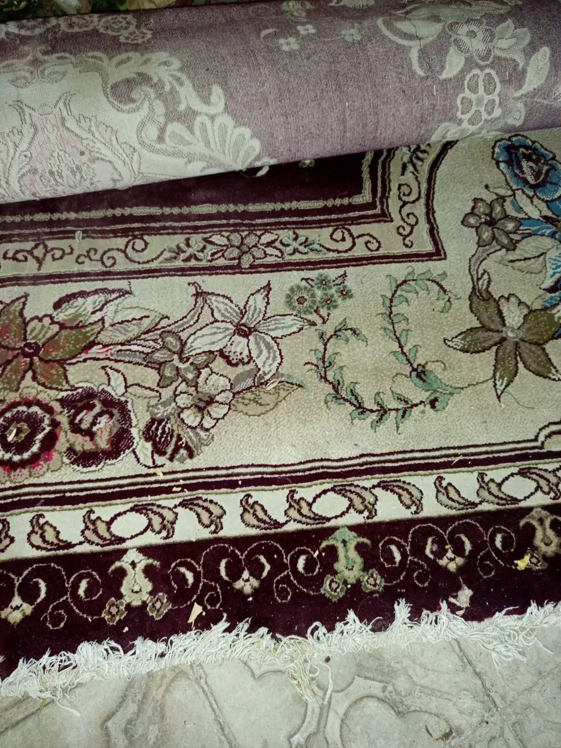 یک عدد فرش دوازده متری سالم دوملیونوچهارصد|فرش|فسا, |دیوار