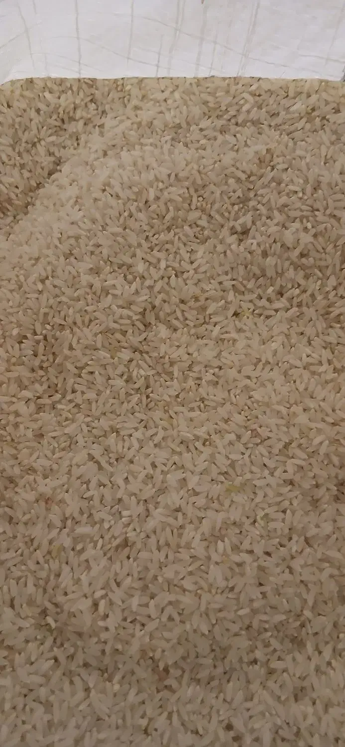 برنج انبربو|خوردنی و آشامیدنی|بدره, |دیوار