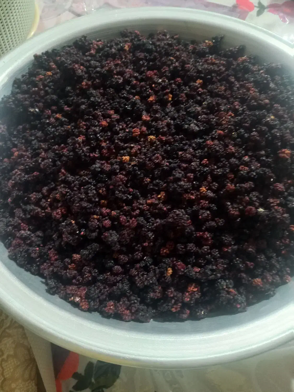 تَمِشک وحشی|خوردنی و آشامیدنی|ارژن, |دیوار