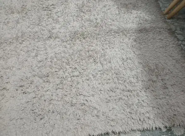 فرش فانتزی|فرش|مشهد, انقلاب|دیوار