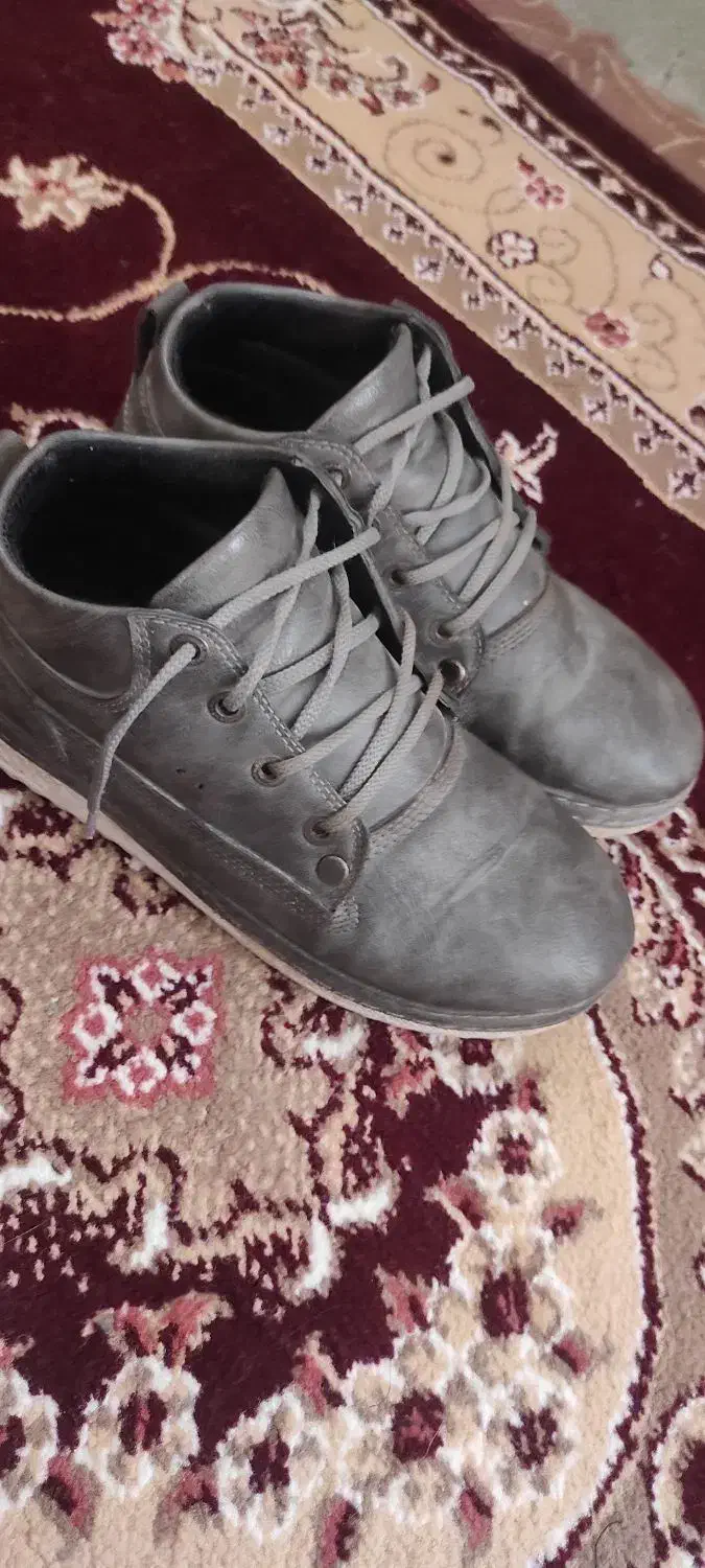 کفش|کیف، کفش، کمربند|زابل, |دیوار