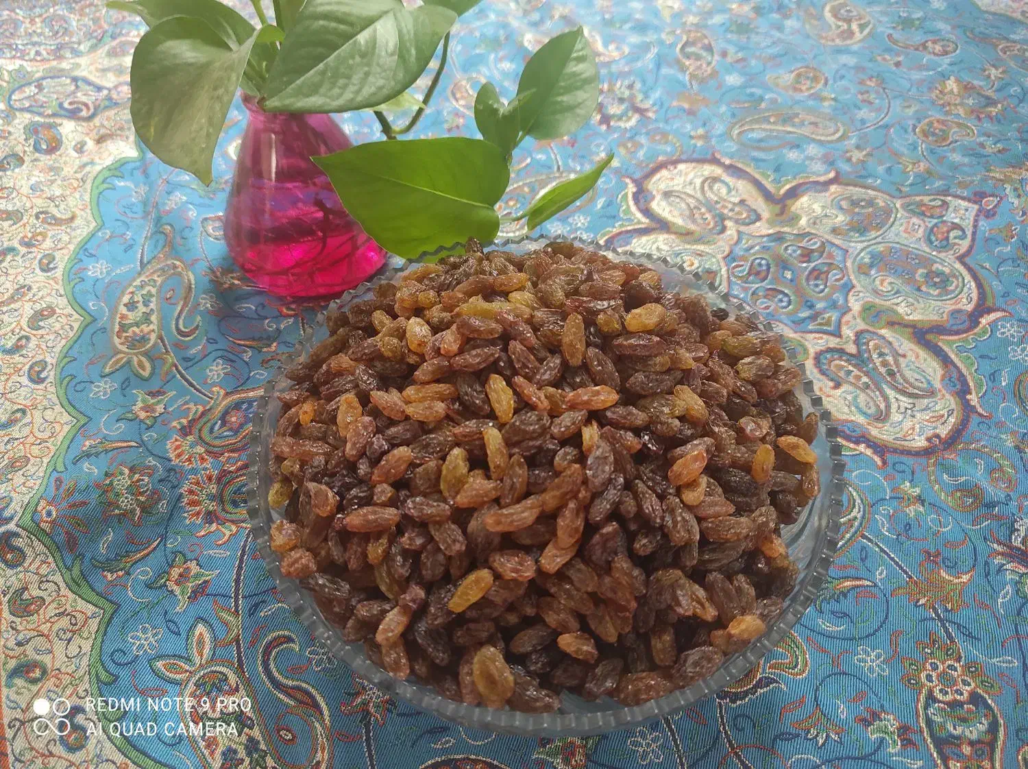 آجیل میوه و کشمش|خوردنی و آشامیدنی|یاسوج, |دیوار