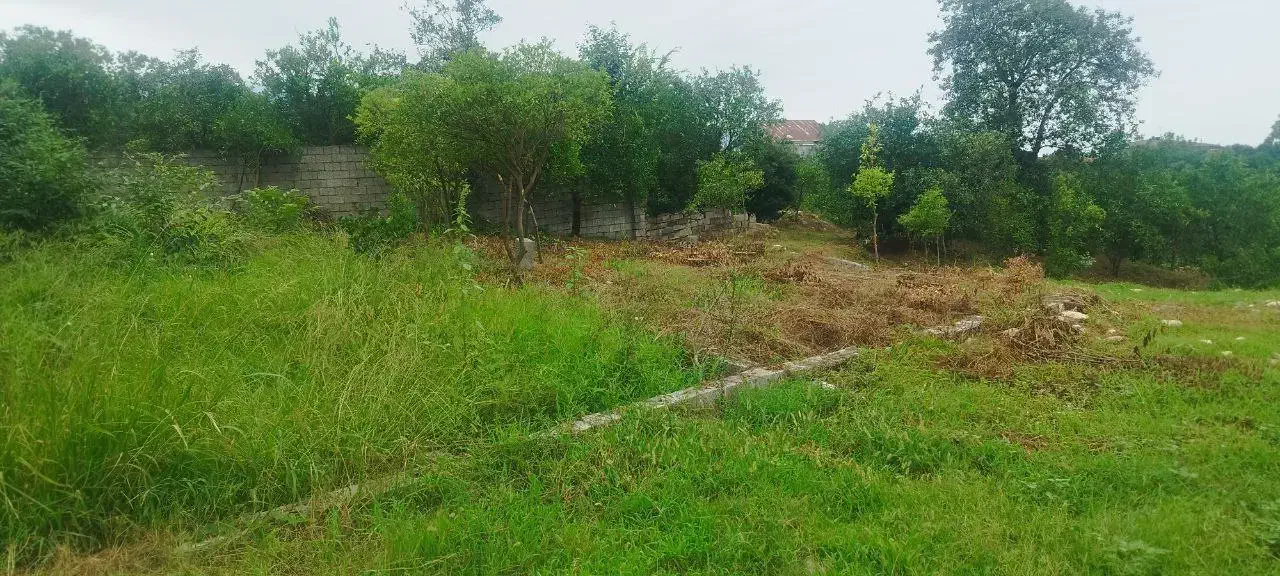 276 متر زمین رامسر کتالم کوزه گر محله معاوضه واحد|فروش آپارتمان|کتالم و سادات شهر, |دیوار