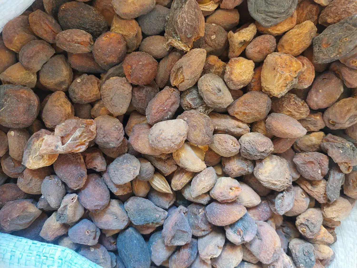 زرد الو|خوردنی و آشامیدنی|بهارستان, |دیوار