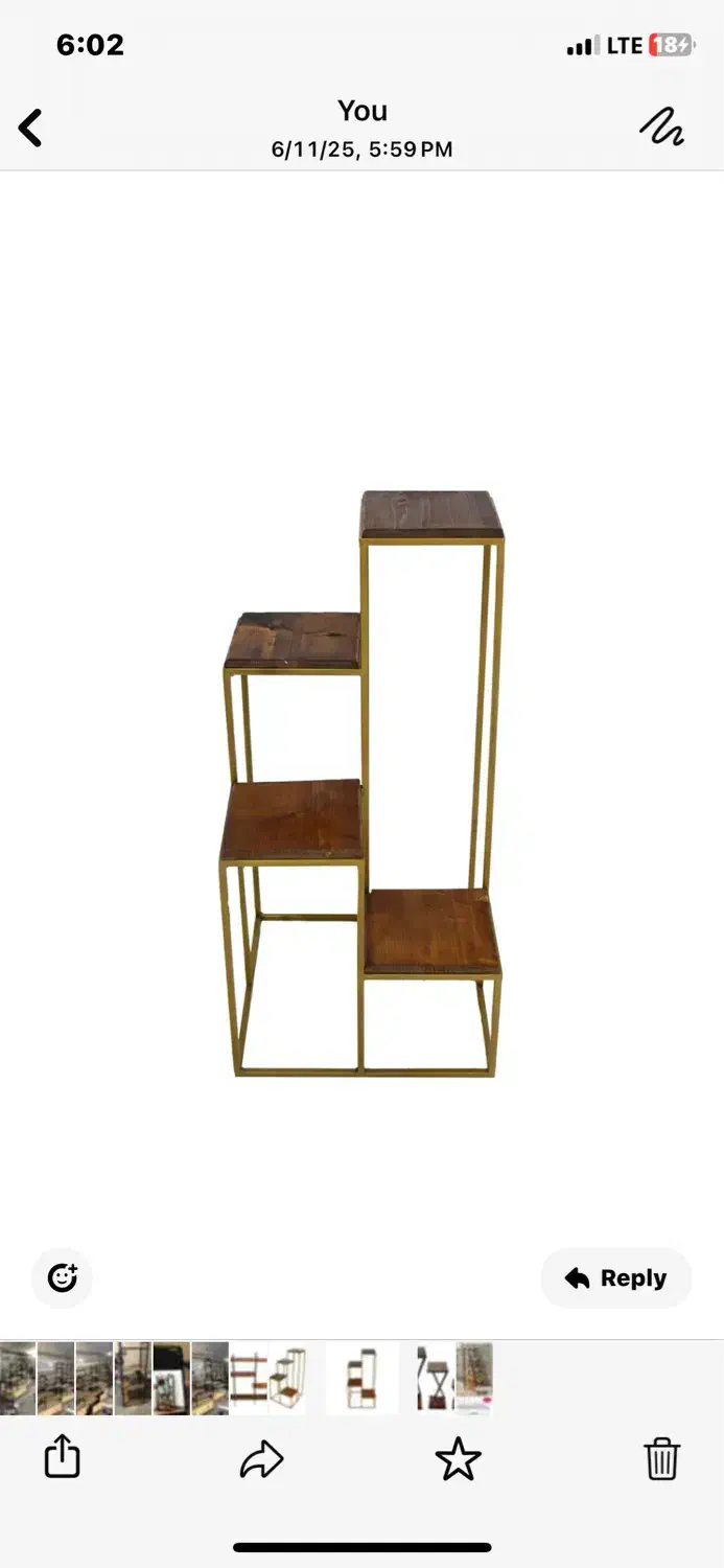 استند گل شیک، محکم و اقتصادی فلز چوب روسی اصل|گل و گیاه طبیعی|مشهد, گرجی علیا|دیوار