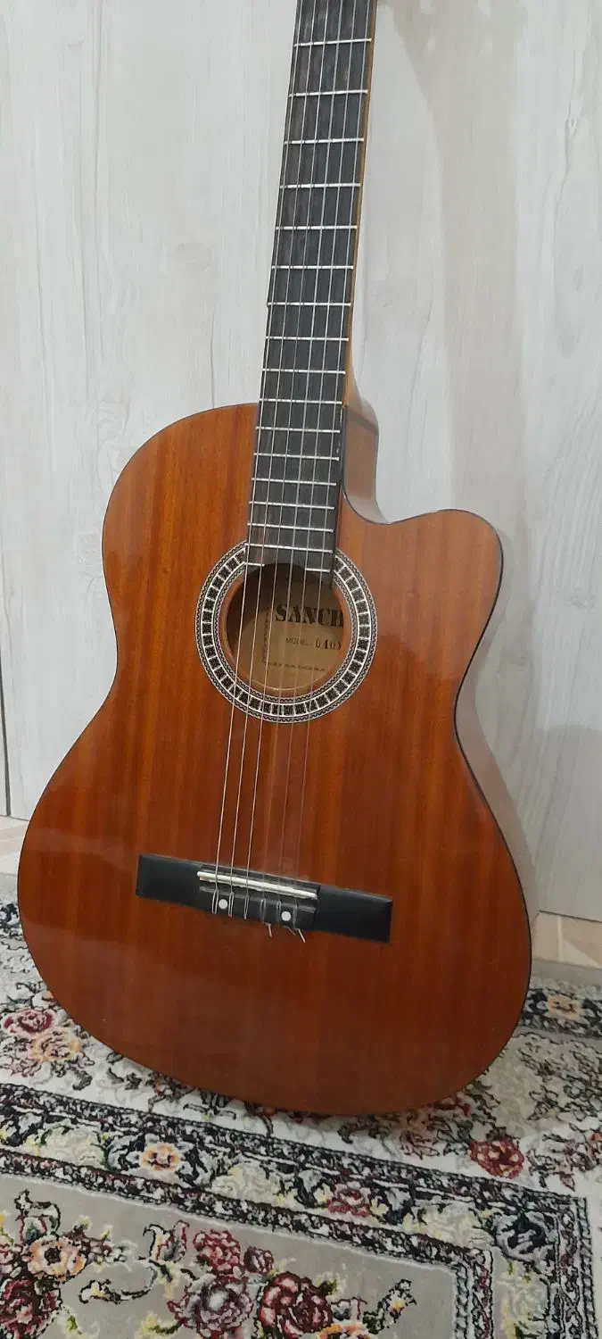 گیتار|گیتار، بیس، امپلیفایر|باغستان, |دیوار