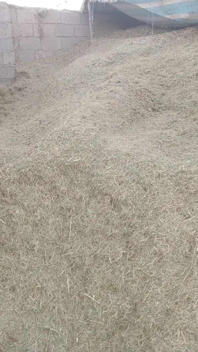 کاهه یونجه یعنی یونجه خردشده با پاتوز|خدمات باغبانی و درختکاری|شوط, |دیوار