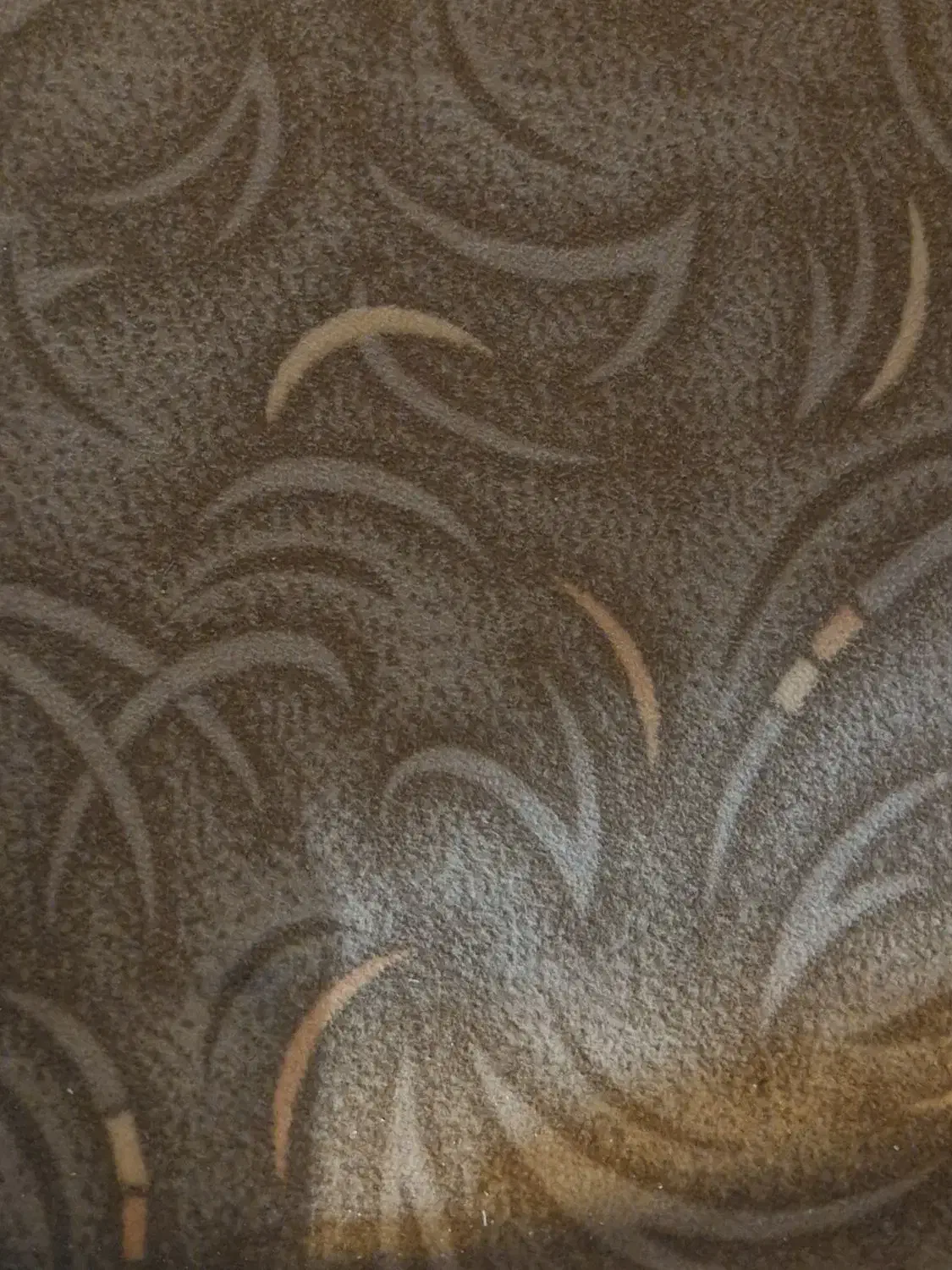 موکت|موکت|قزوین, |دیوار