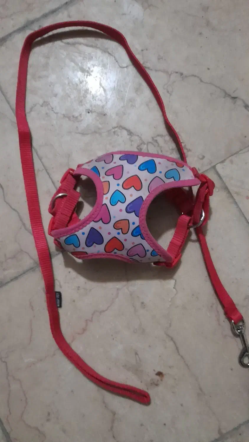 قلاده کتفی سگ پاکوتا سایزM|لوازم جانبی حیوانات|آمل, |دیوار