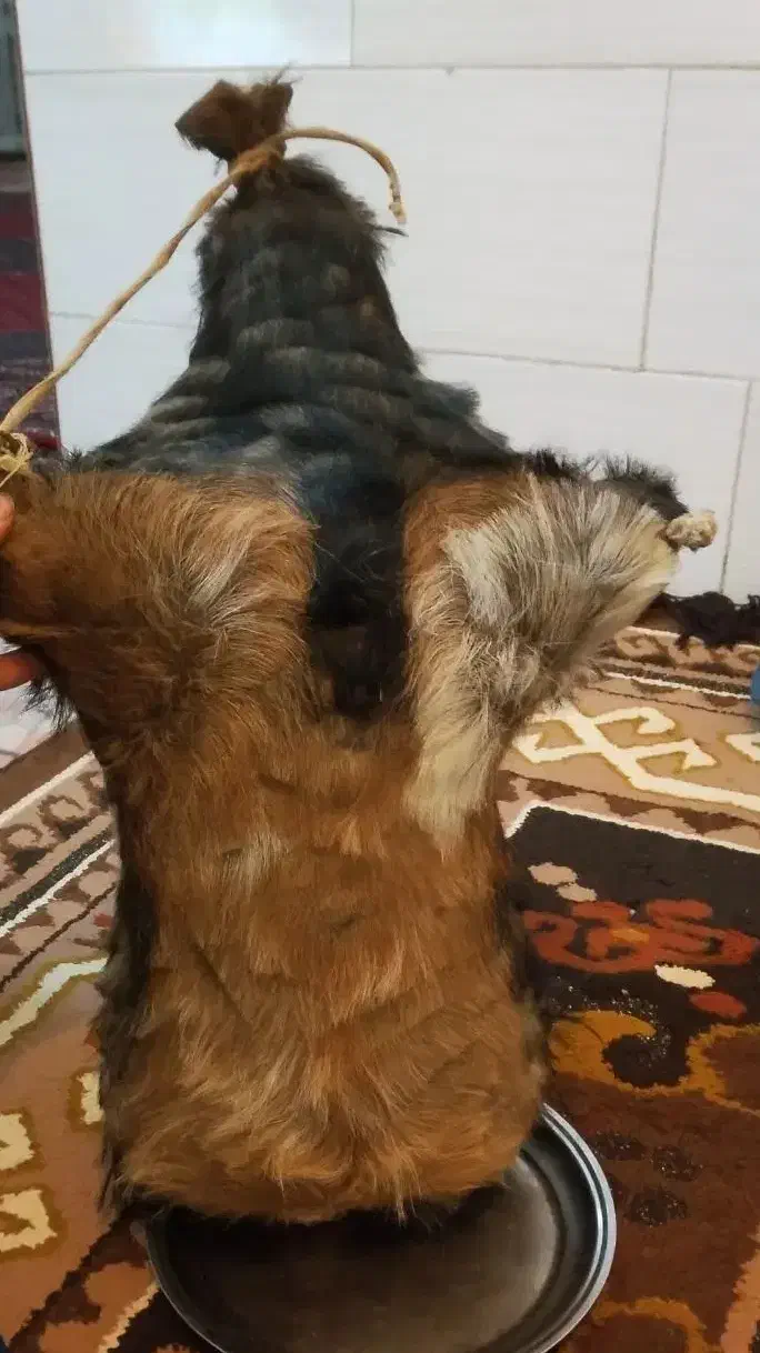 هیزه جا روغن|ظروف نگهدارنده، پلاستیکی، یک‌بارمصرف|دورود, |دیوار