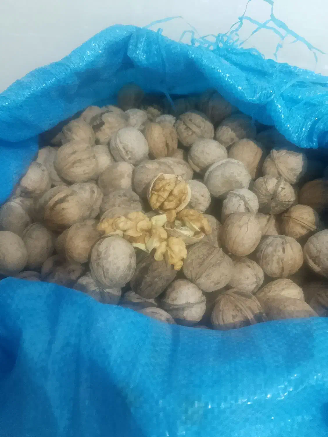 گردو|حراج|رباط‌کریم, رباط‌کریم|دیوار