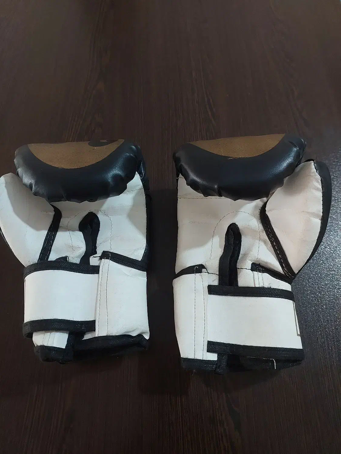 وسایل ورزشی.دستکش،وپاکش،وبیضه بند|تجهیزات ورزشی|شیراز, کوشک میدان|دیوار