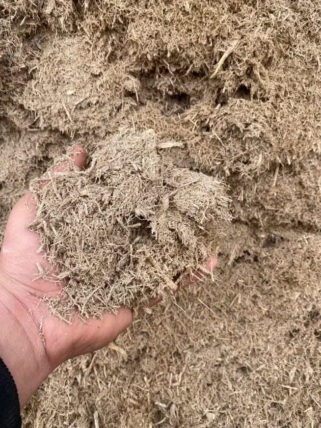 نیشکر|لوازم جانبی حیوانات|باروق, |دیوار