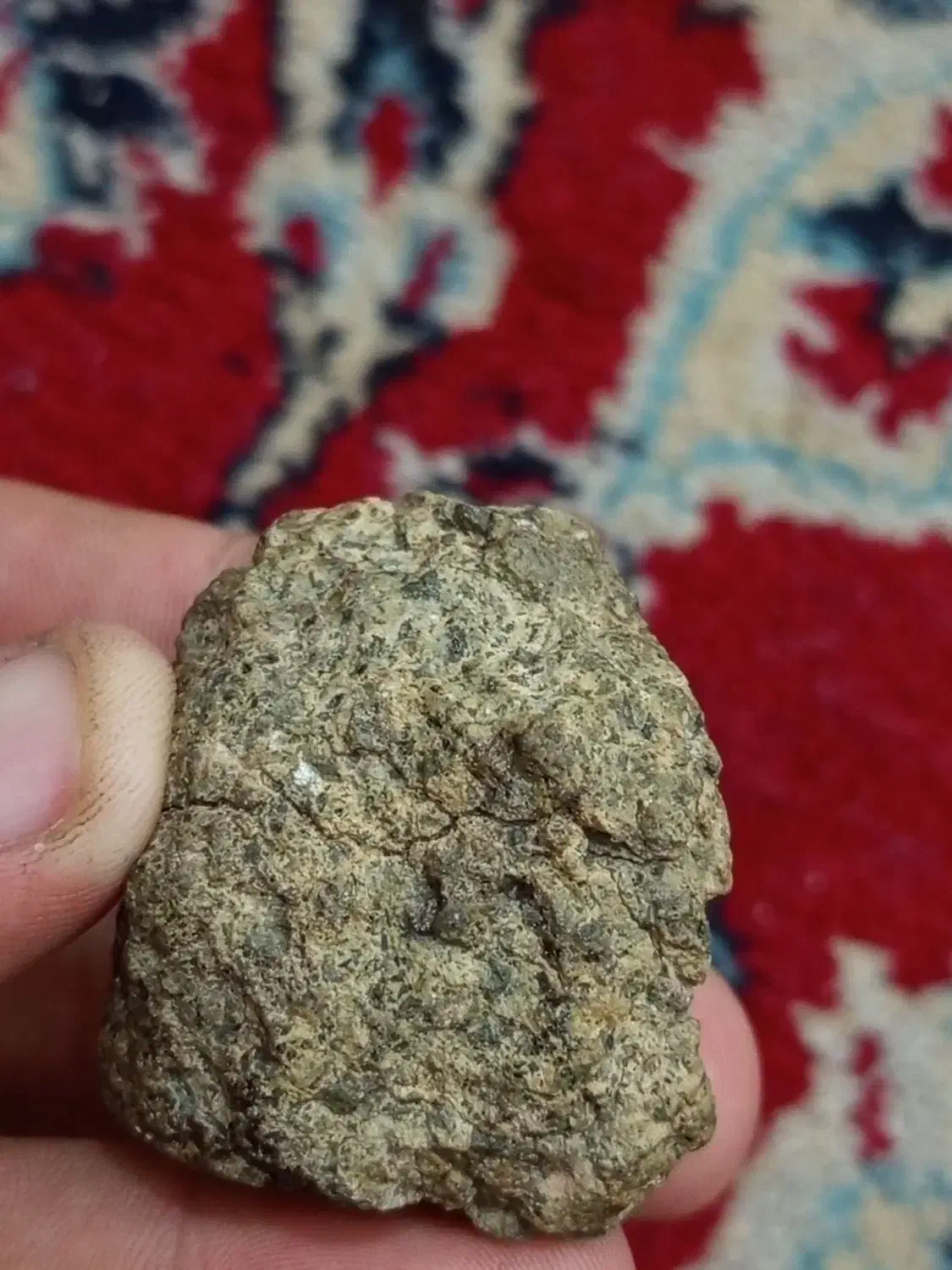 شهاب سنگ نخلا مریخی|کلکسیون اشیاء عتیقه|رفسنجان, |دیوار