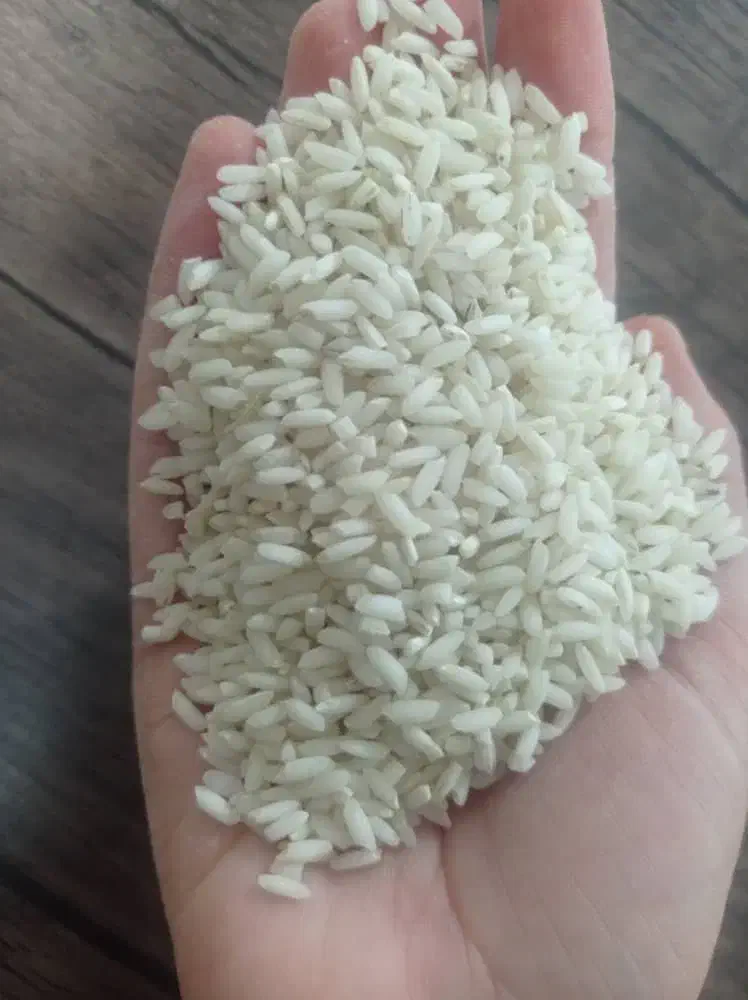 برنج عنبر بو تازه و خوش بو|خوردنی و آشامیدنی|شوشتر, |دیوار