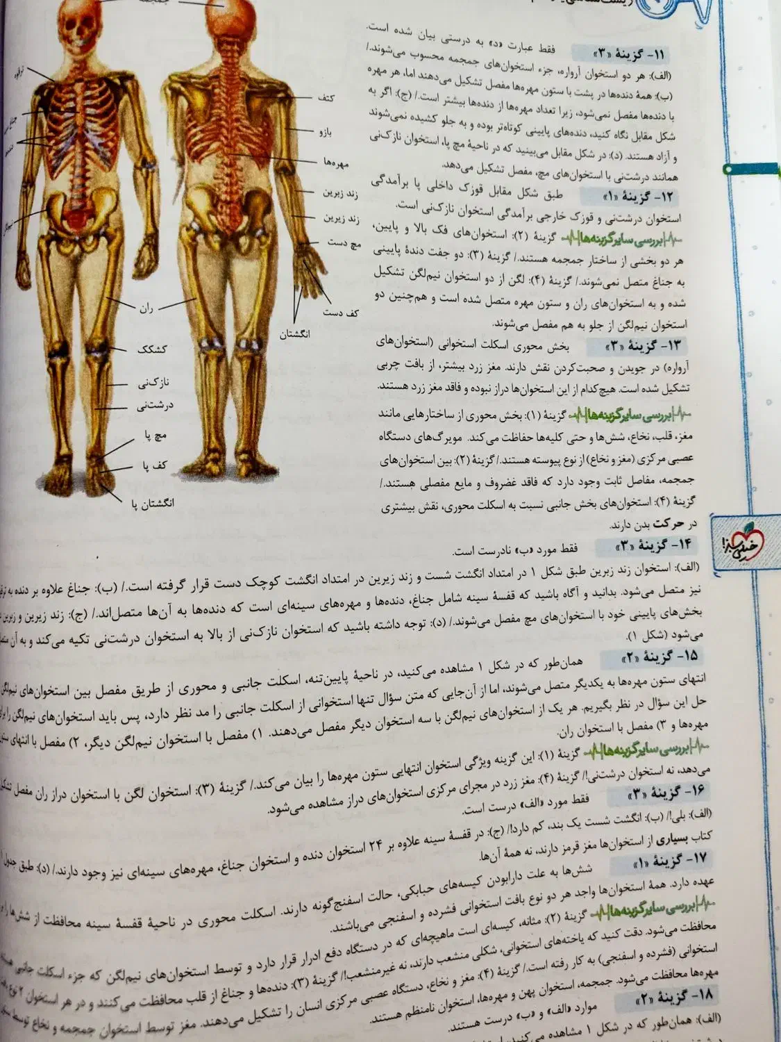 کتاب تست زیست یازدهم (خیلی سبز)|کتاب و مجله آموزشی|اصفهان, سلطان‌آباد|دیوار