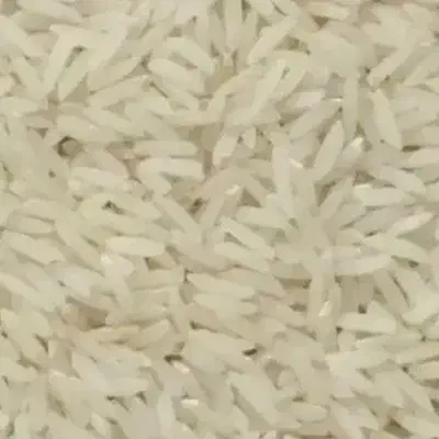 برنج|خوردنی و آشامیدنی|سیلاخور, |دیوار