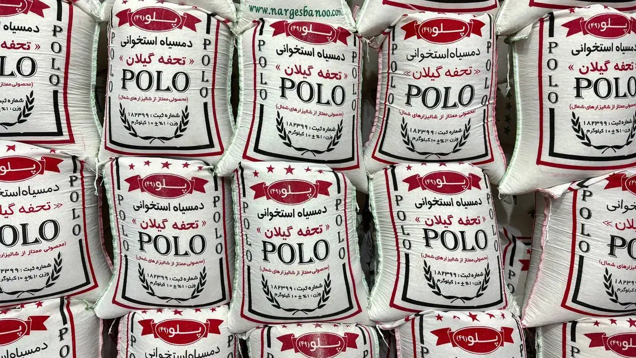 برنج هاشمی طارم غجر خوشپحت ارسال رایگان|خوردنی و آشامیدنی|بهارستان, |دیوار