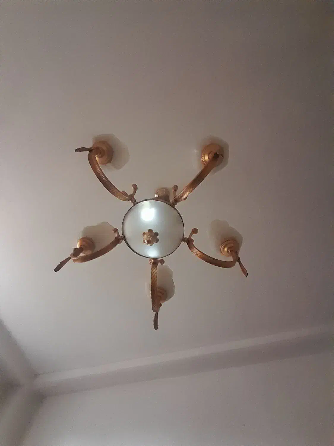 لوستر طلایی|لوستر و چراغ آویز|اردبیل, |دیوار