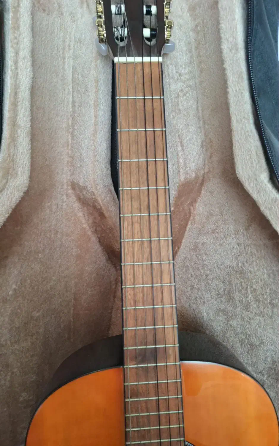 گیتار هافنر نو|گیتار، بیس، امپلیفایر|رشت, منظریه|دیوار